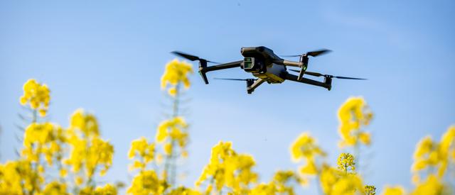 一架带摄像头的无人机在农作物上空飞行.